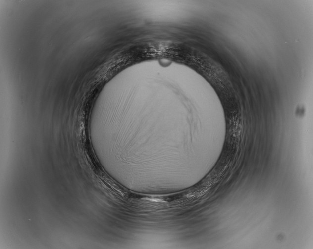 X0000098170754200805151116