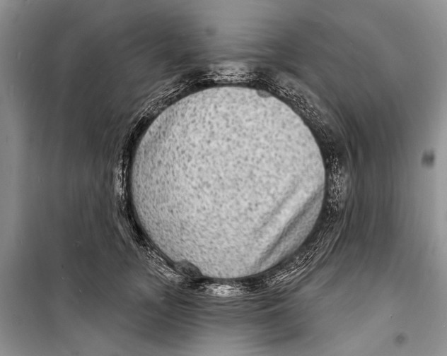 X0000098170755200805151116