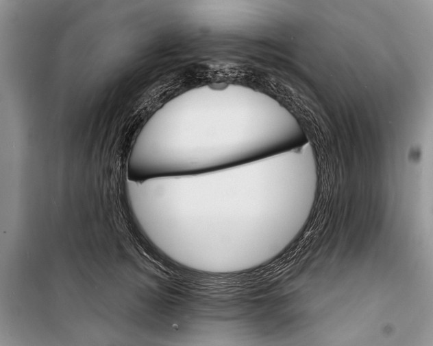 X0000098170756200805151116