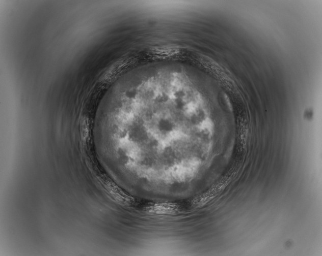 X0000098170758200805151116