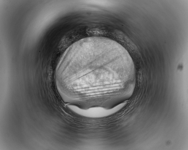 X0000098170760200805151116