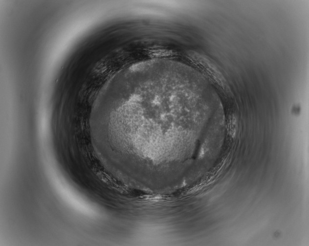 X0000098170763200805151116