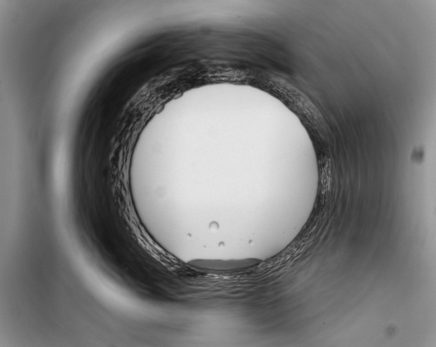 X0000098170764200805151116