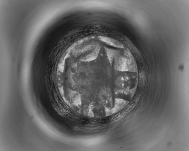 X0000098170765200805151116