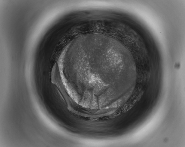 X0000098170766200805151116