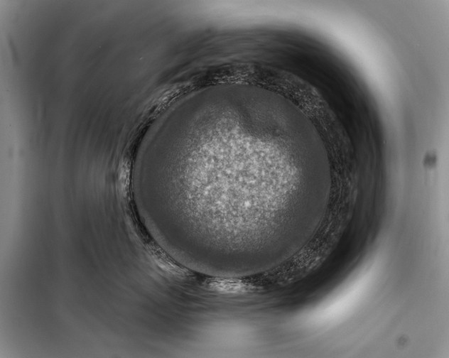 X0000098170767200805151116