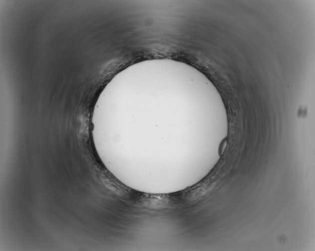 X0000098170768200805151116