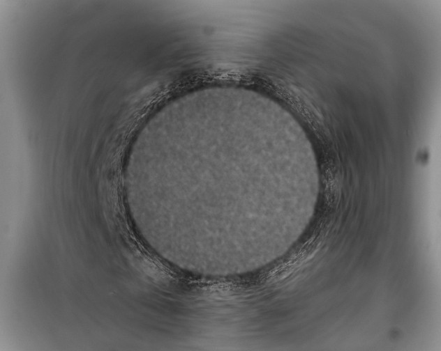 X0000098170769200805151116