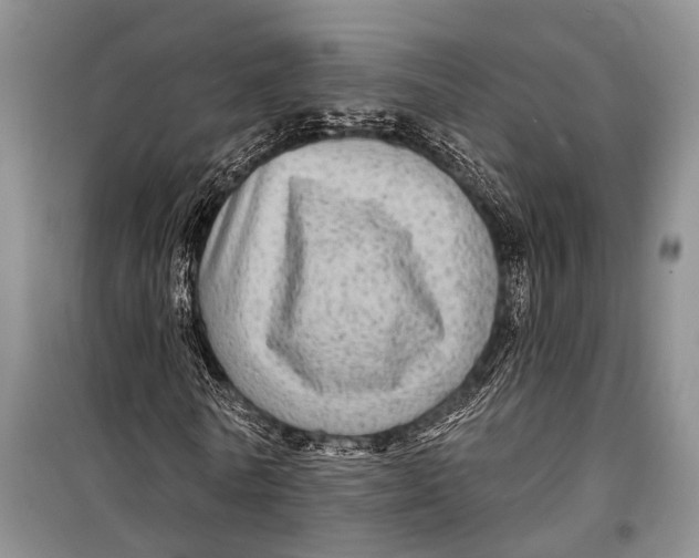 X0000098170770200805151116