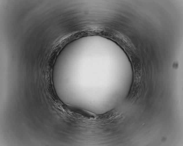 X0000098170773200805151116