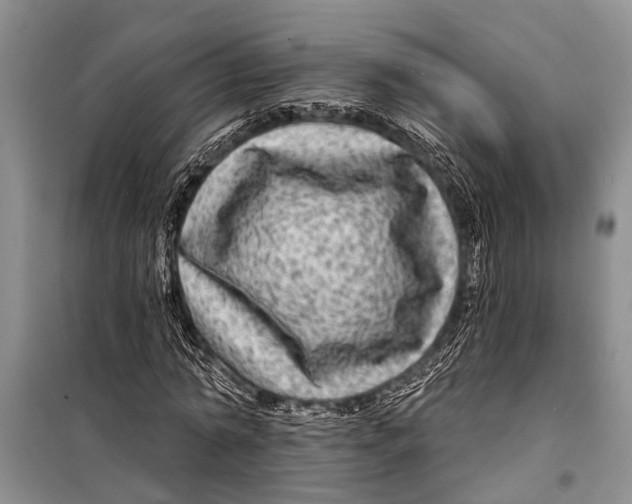 X0000098170774200805151116