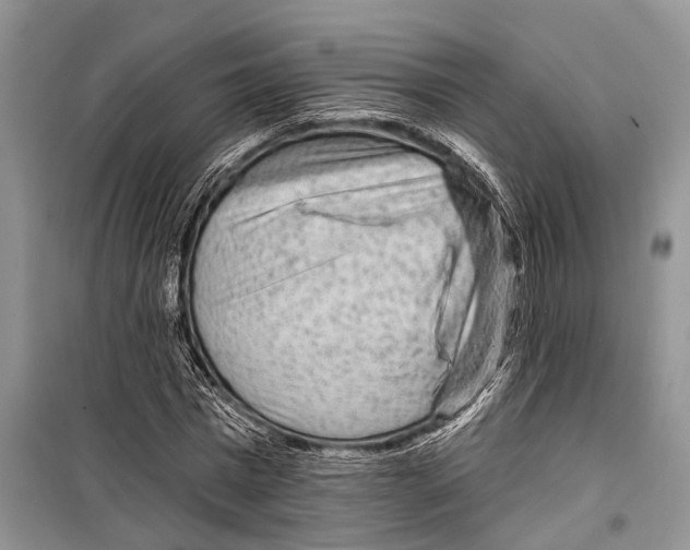 X0000098170777200805151116