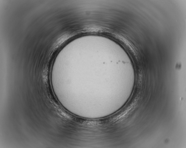 X0000098170778200805151116