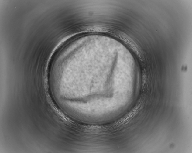 X0000098170784200805151115