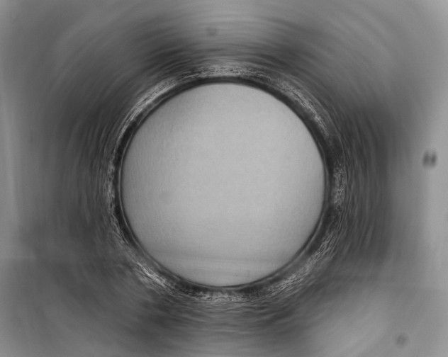 X0000098170786200805151115