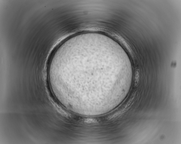 X0000098170787200805151115