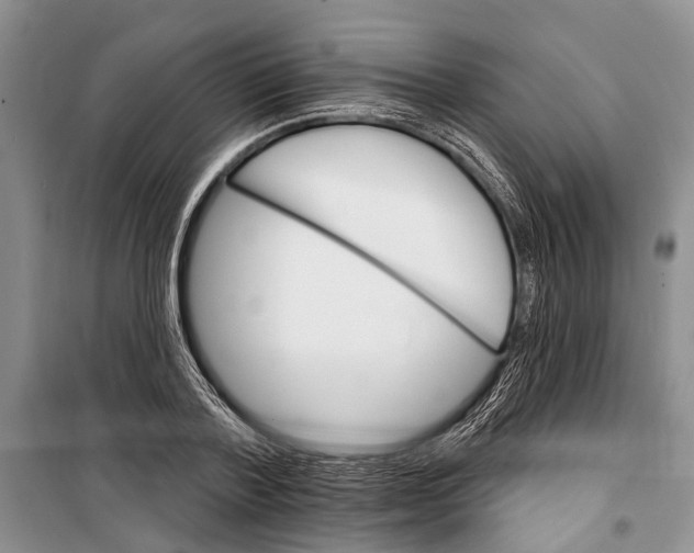 X0000098170788200805151115