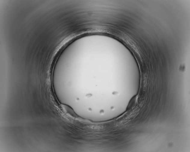 X0000098170789200805151115