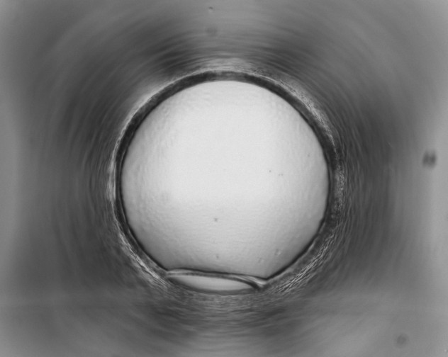 X0000098170791200805151115