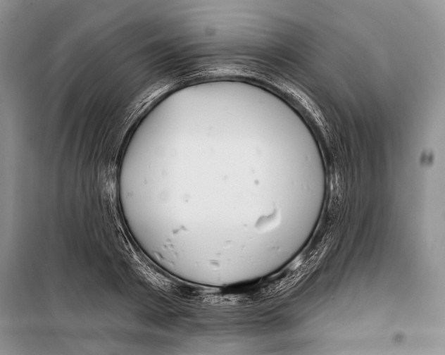 X0000098170793200805151115