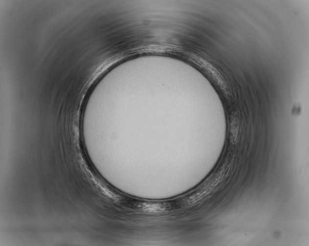 X0000098170794200805151115