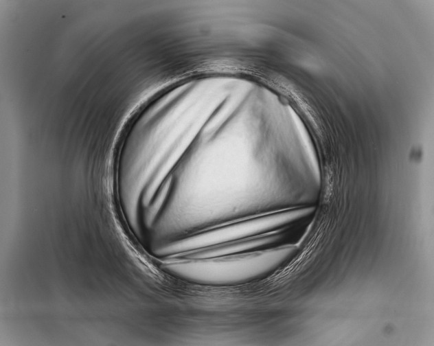 X0000098170795200805151115