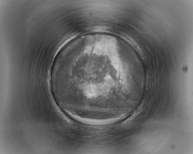 X0000098170798200805151115