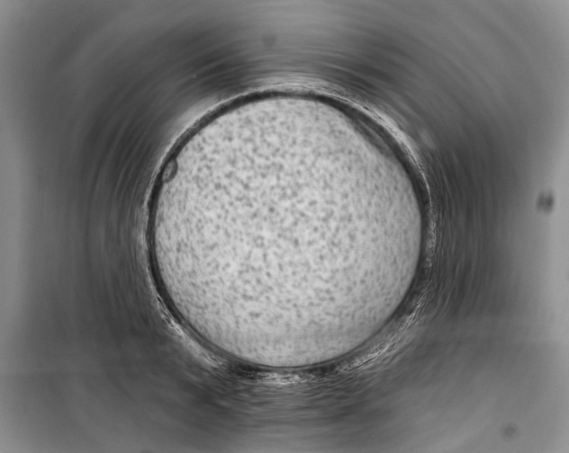 X0000098170799200805151115