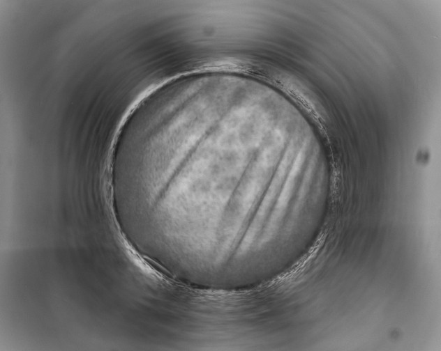 X0000098170800200805151115