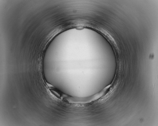 X0000098170801200805151115