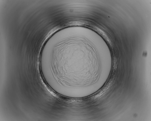 X0000098170802200805151115