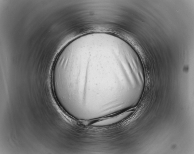 X0000098170803200805151115