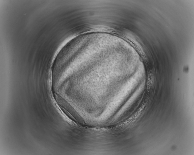 X0000098170804200805151115