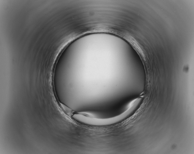 X0000098170805200805151115