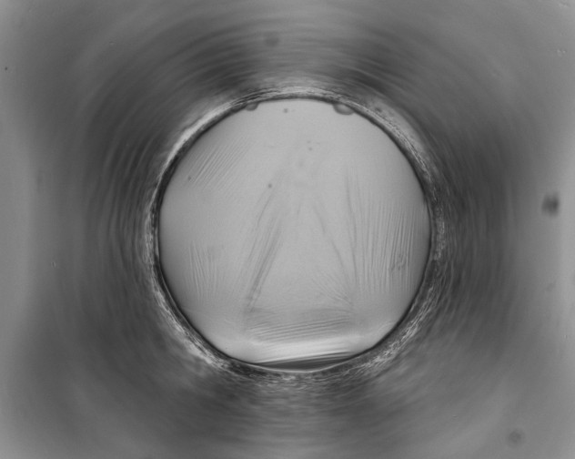 X0000098170806200805151115