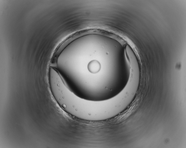 X0000098170807200805151115