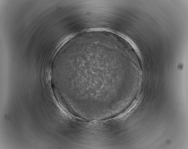 X0000098170809200805151115