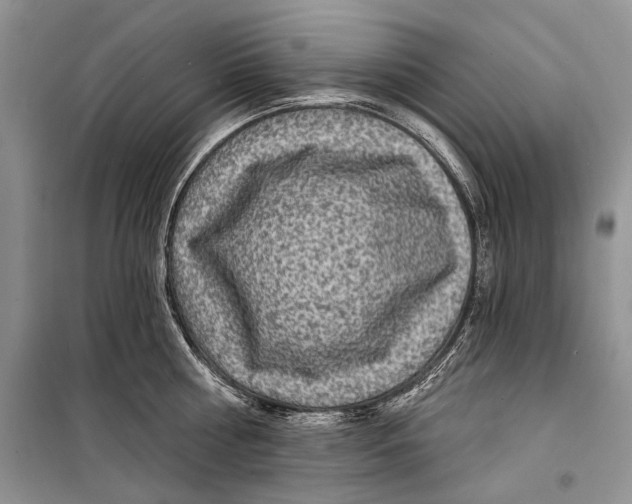 X0000098170810200805151115