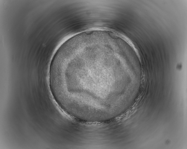 X0000098170811200805151115