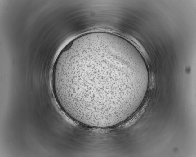 X0000098170812200805151115