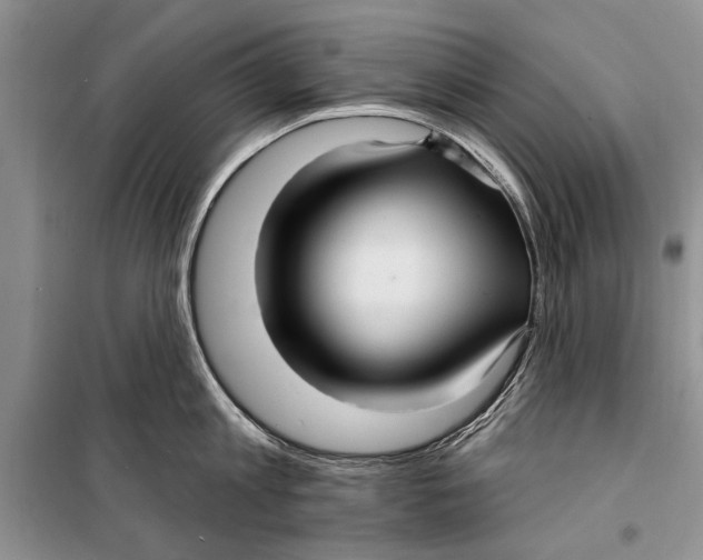 X0000098170813200805151115