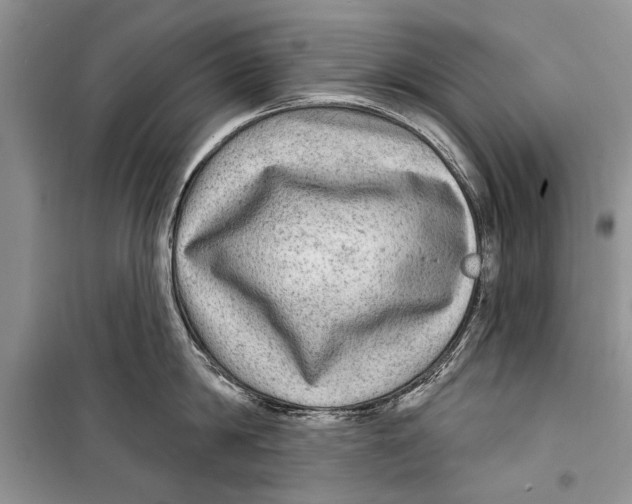 X0000098170814200805151115