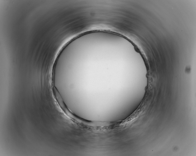 X0000098170815200805151115