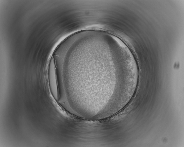 X0000098170816200805151115