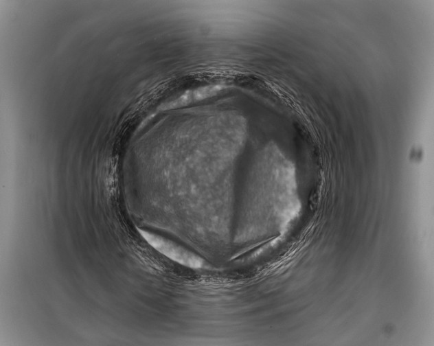 X0000098170818200805151114