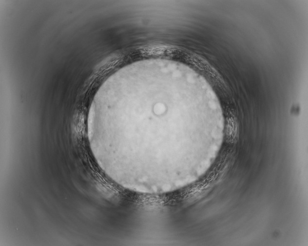 X0000098170820200805151114