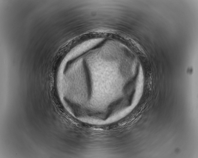 X0000098170821200805151114