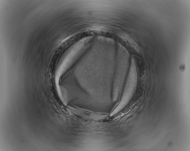 X0000098170822200805151114