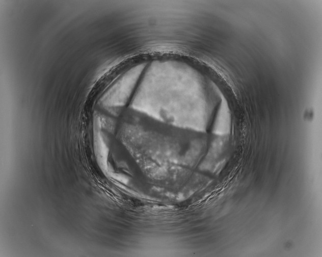 X0000098170823200805151114