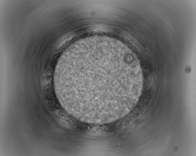 X0000098170824200805151114